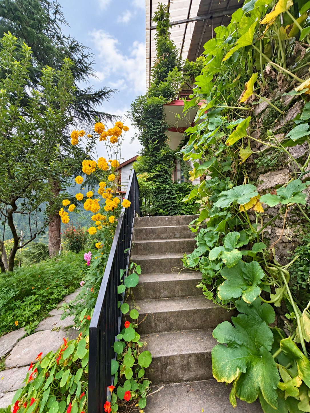 Garden stairway with marigolds and creepers